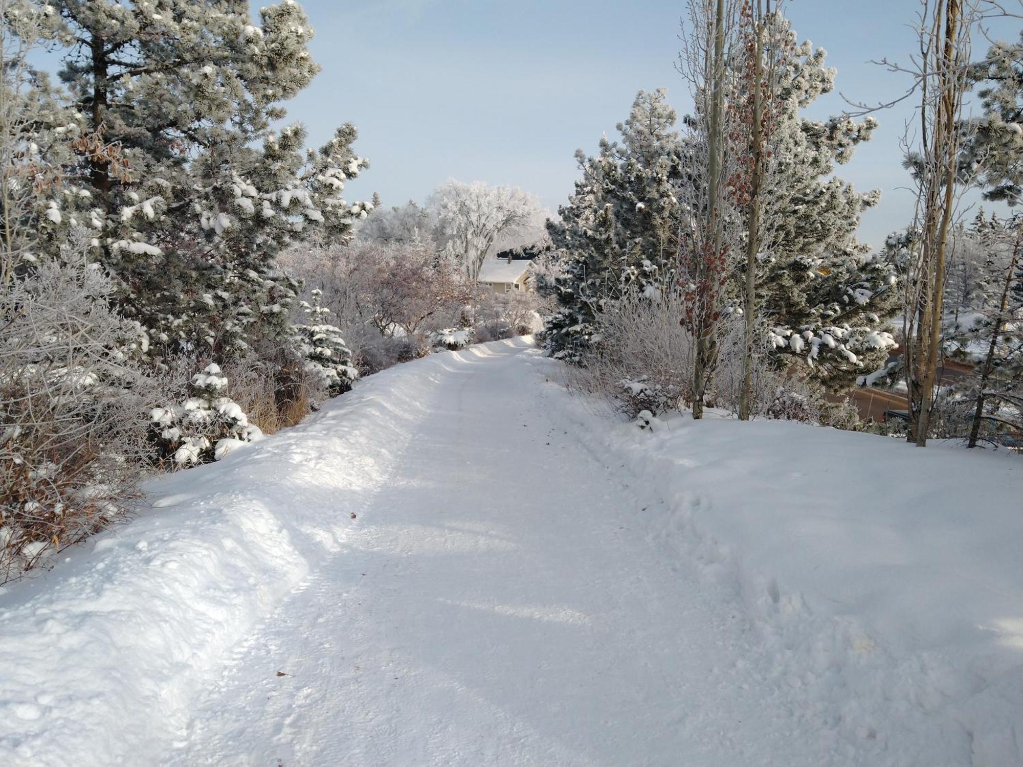 U Of A Homestay, Trails & Whyte Ave Edmonton Phòng bức ảnh