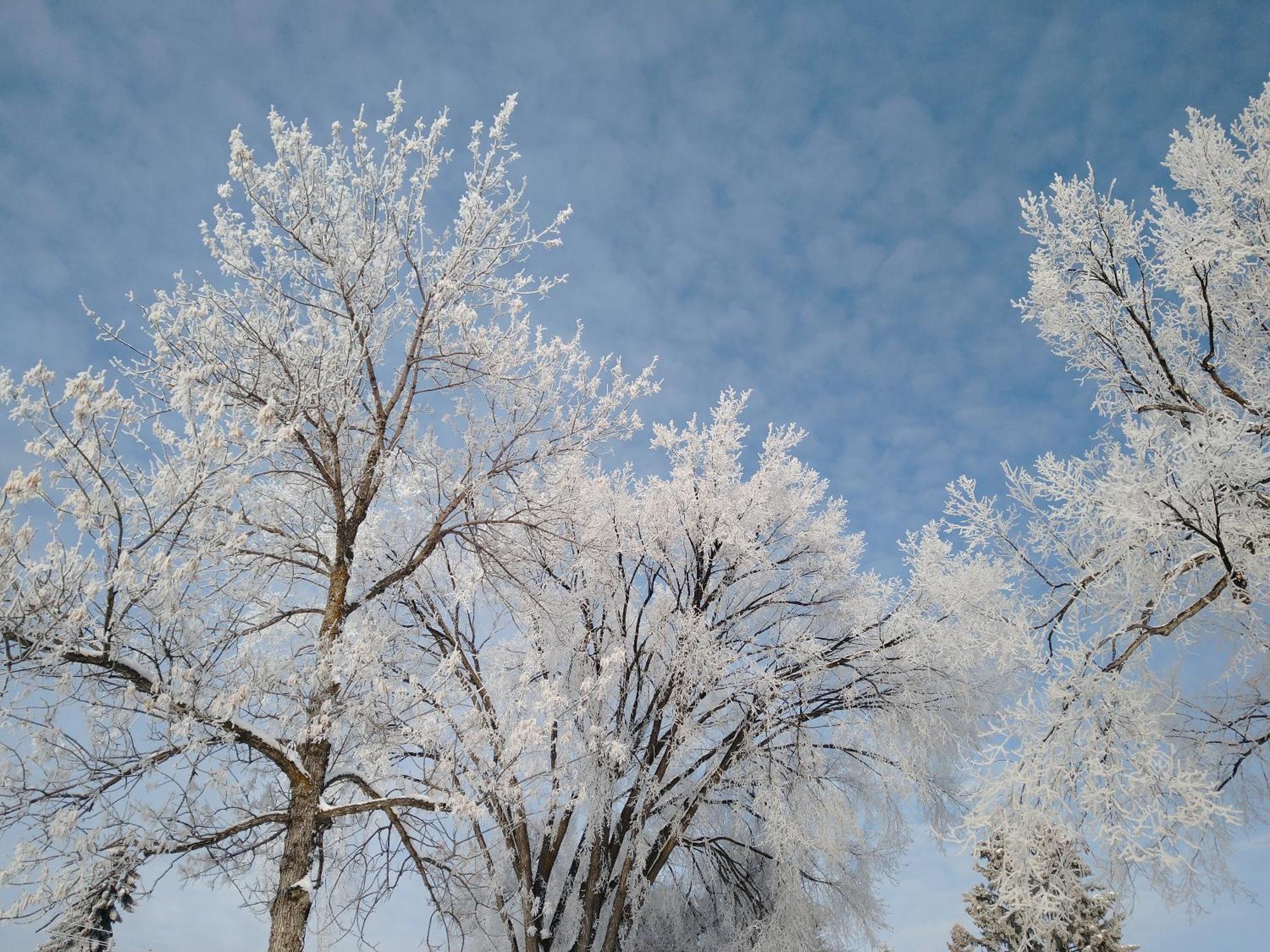 U Of A Homestay, Trails & Whyte Ave Edmonton Phòng bức ảnh