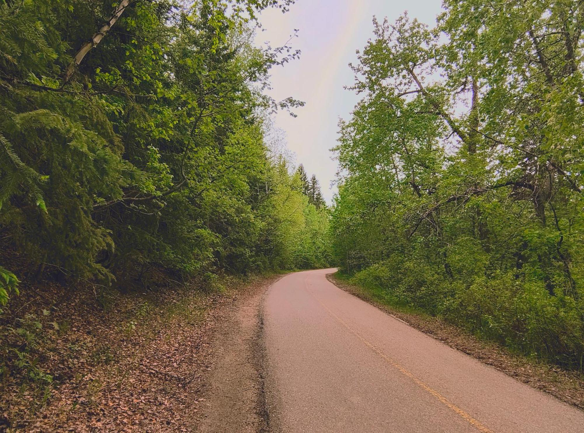 U Of A Homestay, Trails & Whyte Ave Edmonton Ngoại thất bức ảnh