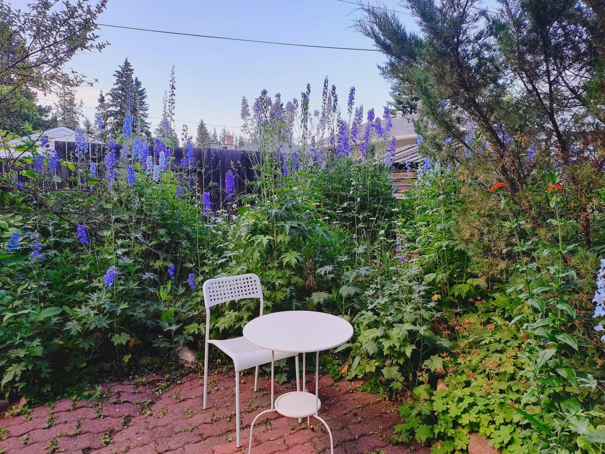 U Of A Homestay, Trails & Whyte Ave Edmonton Ngoại thất bức ảnh