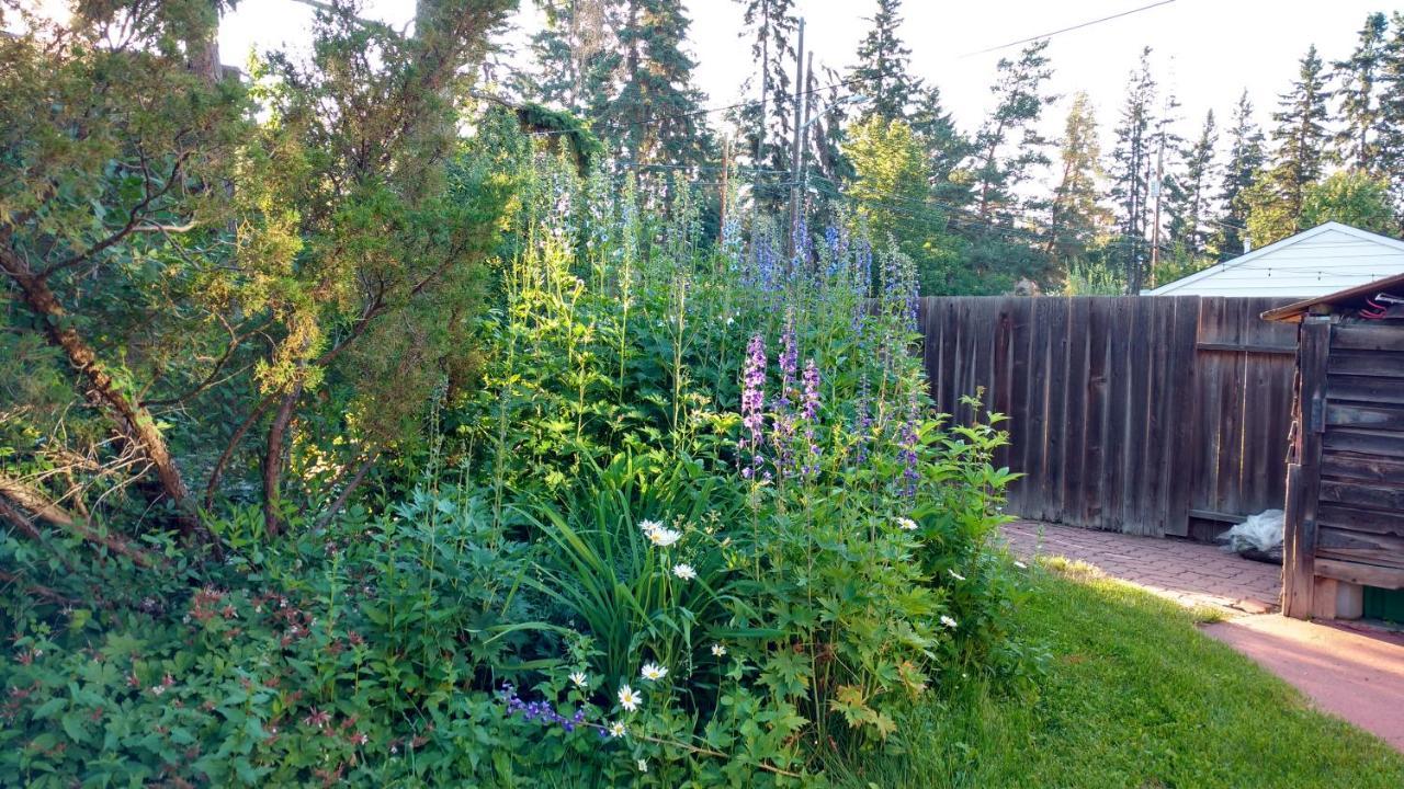 U Of A Homestay, Trails & Whyte Ave Edmonton Ngoại thất bức ảnh